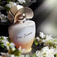 Dear Jasmine - 100ml - Eau de Parfum - Maison Asrar - Perfume Femenino